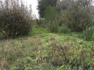 Lago Sibolla n44 - 6 ottobre 2017_edited  